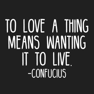 Meet your Posher, Bono